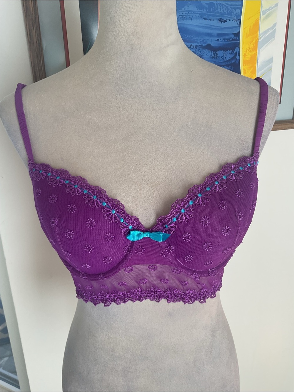 2011 Victoria’s Secret Pout Line Longline Bra